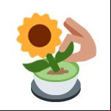 Como sembrar y propagar flores, plantas ornamentales y frutales