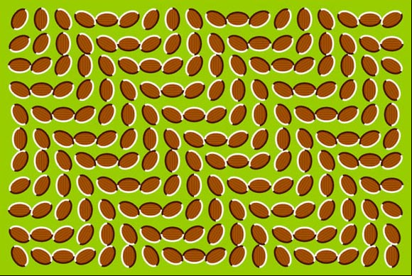 Ilusión óptica de las nueces en movimiento. #IlusionesOpticas Ilusión óptica de las nueces en movimiento