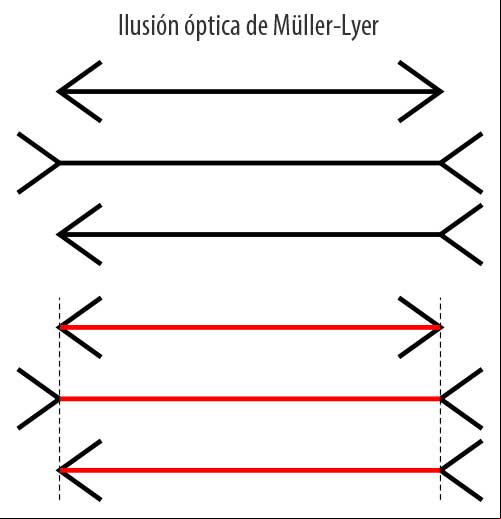 Ilusión óptica de Müller-Lyer. #IlusionesOpticas Ilusión óptica de Müller-Lyer