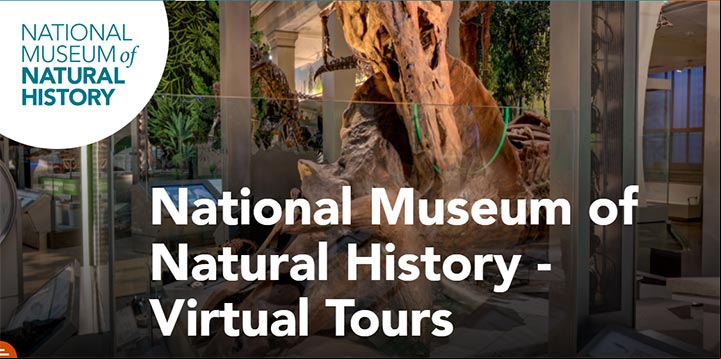 Visitas virtuales al Museo Nacional de Historia Natural de los Estados Unidos Visitas virtuales al Museo Nacional de Historia Natural de los Estados Unidos