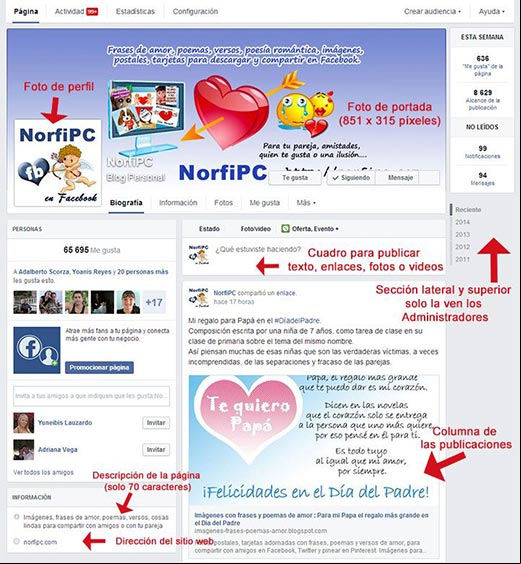 Estructura y secciones de la página de fans de Facebook en Junio del 2014