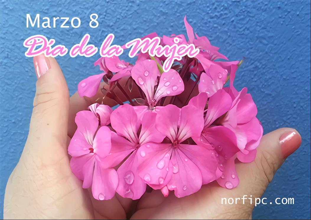 8 de marzo, Día Internacional de la Mujer Manos de una mujer con flores rosadas