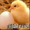 Postal
