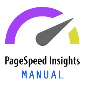 Manual para usar la herramienta PageSpeed Insights de Google Manual para usar la herramienta PageSpeed Insights de Google