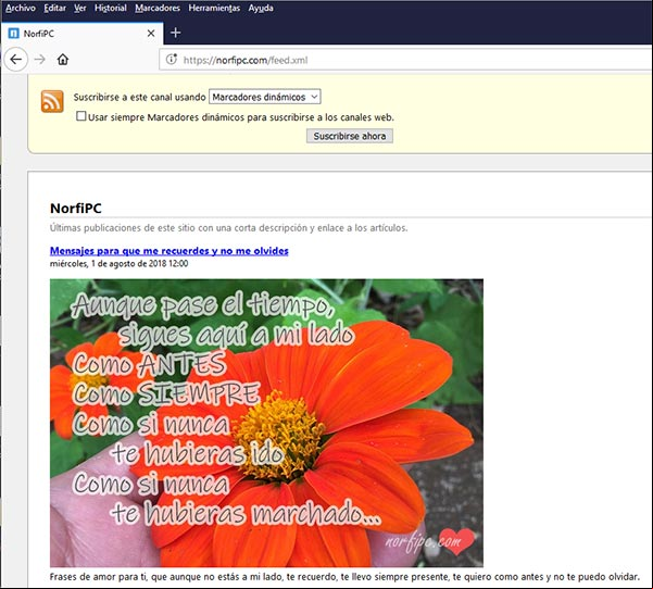 Imagen en el feed RSS del sitio en el navegador Firefox Imagen en el feed RSS del sitio en el navegador Firefox